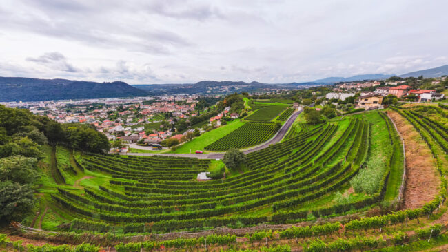 Fumagalli Vini Fumagalli Vini